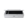 SCANNER EPSON DS-50000 WORKFORCE 600DPI DUPLEX/USB/BIVOLT A3