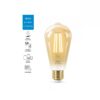 IOT WIZ FOCO FILAMENTO 220V 7W ST64 E27 CALIDA/FRIA (787332)