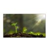 PANTALLA DAHUA 46" LS460UCM-BF VIDEO WALL