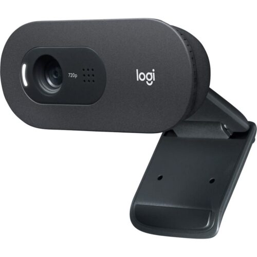 CÁMARA WEB LOGITECH 960-001363 C505 HD