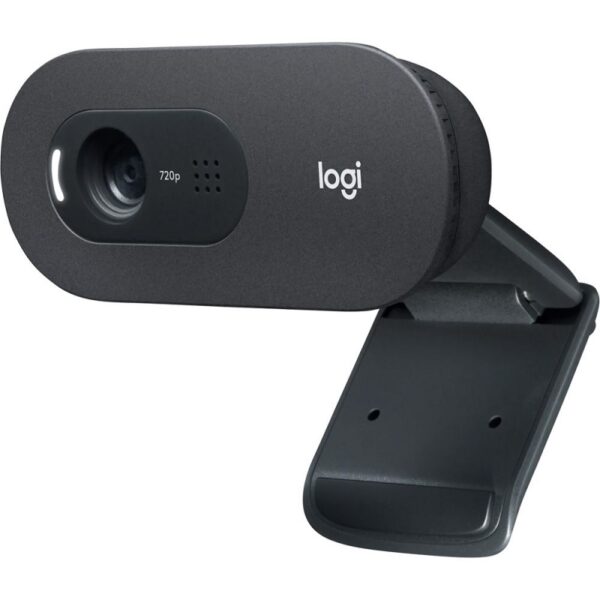 CÁMARA WEB LOGITECH 960-001363 C505 HD